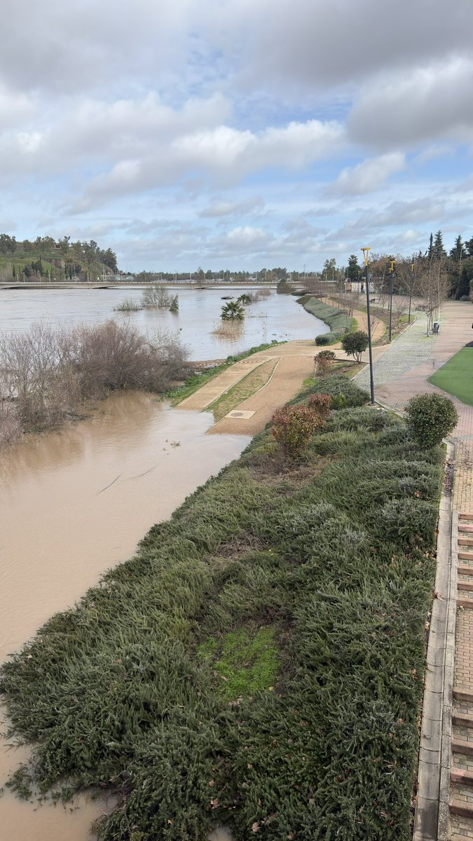 Patrigamero tweet media