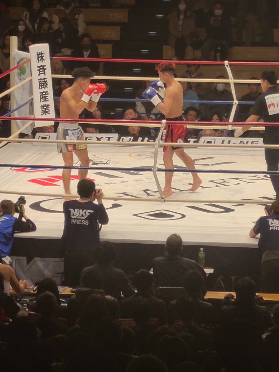 サーバル tweet media