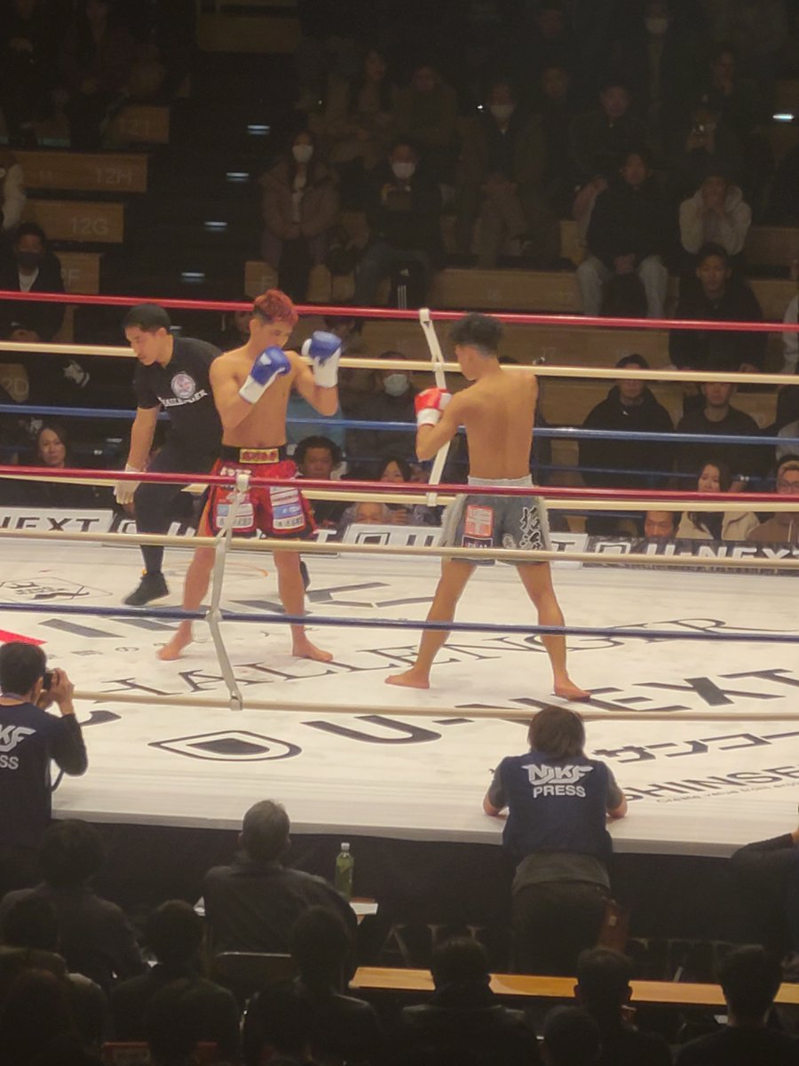 サーバル tweet media