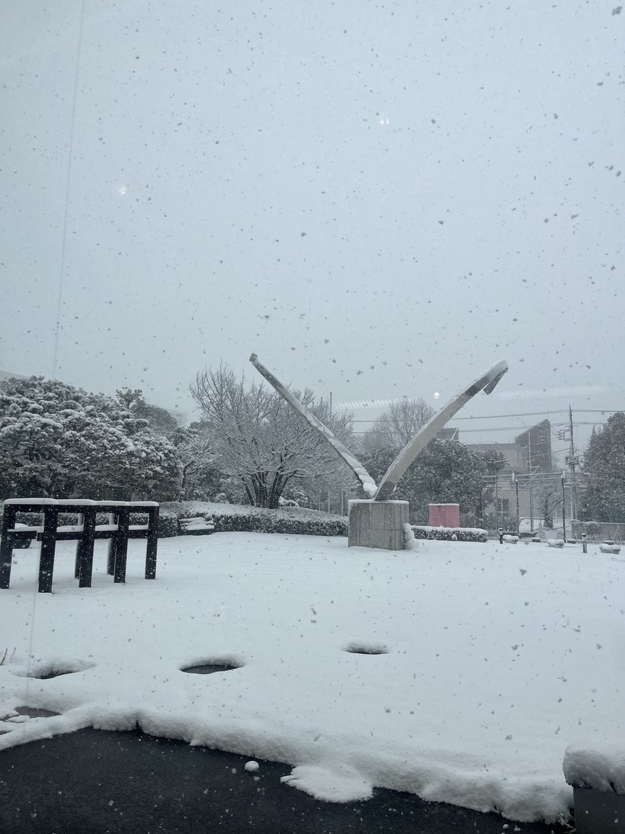 urban_sq's tweet photo. 平塚市美術館でのミュージアムコンサート無事終了しました！
大雪警報が出るほどの雪となってしまいましたが、沢山のお客様にご来場いただき感謝申し上げます。

ありがとうございました！ https://t.co/1Y1IMtHJoK