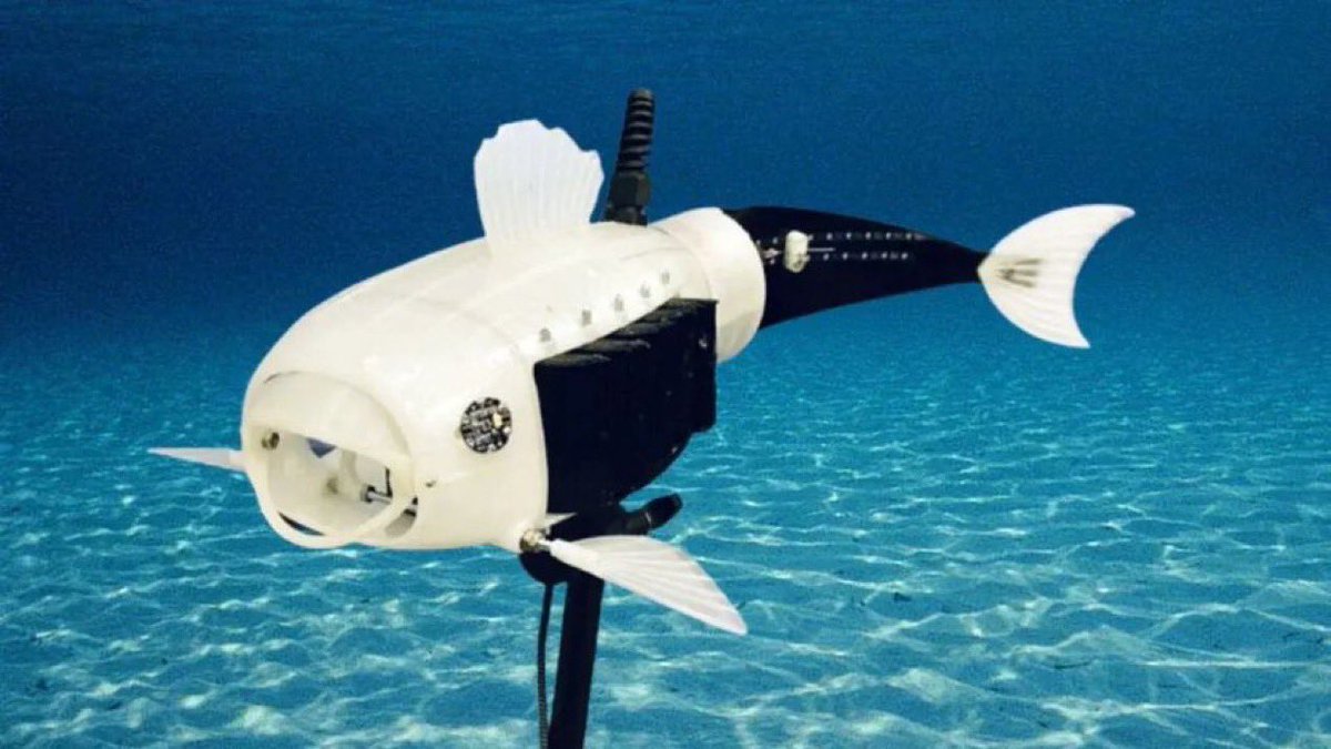 Mememaster03's tweet photo. A student from the UK created a robotic fish designed to consume ocean plastic and generate its own power by digesting the waste. His name is Gilbert.

We need more Gilbert. #ElonMusk #Roblox https://t.co/yuVDFM2rwj