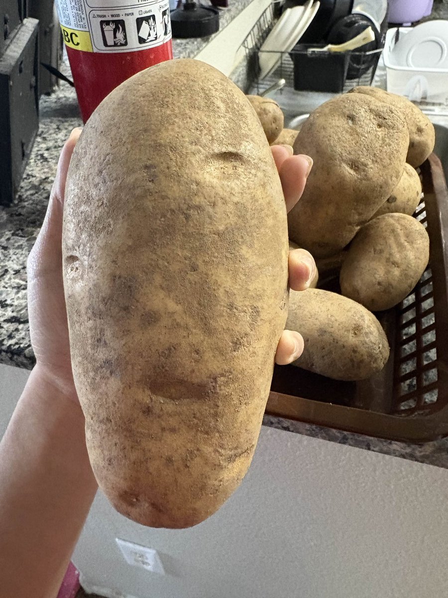 My potato is grooming me 🥲