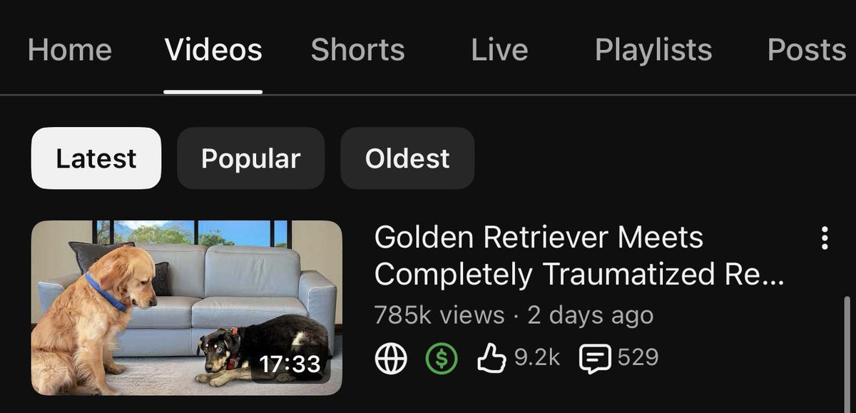 JJ Knight tweet media