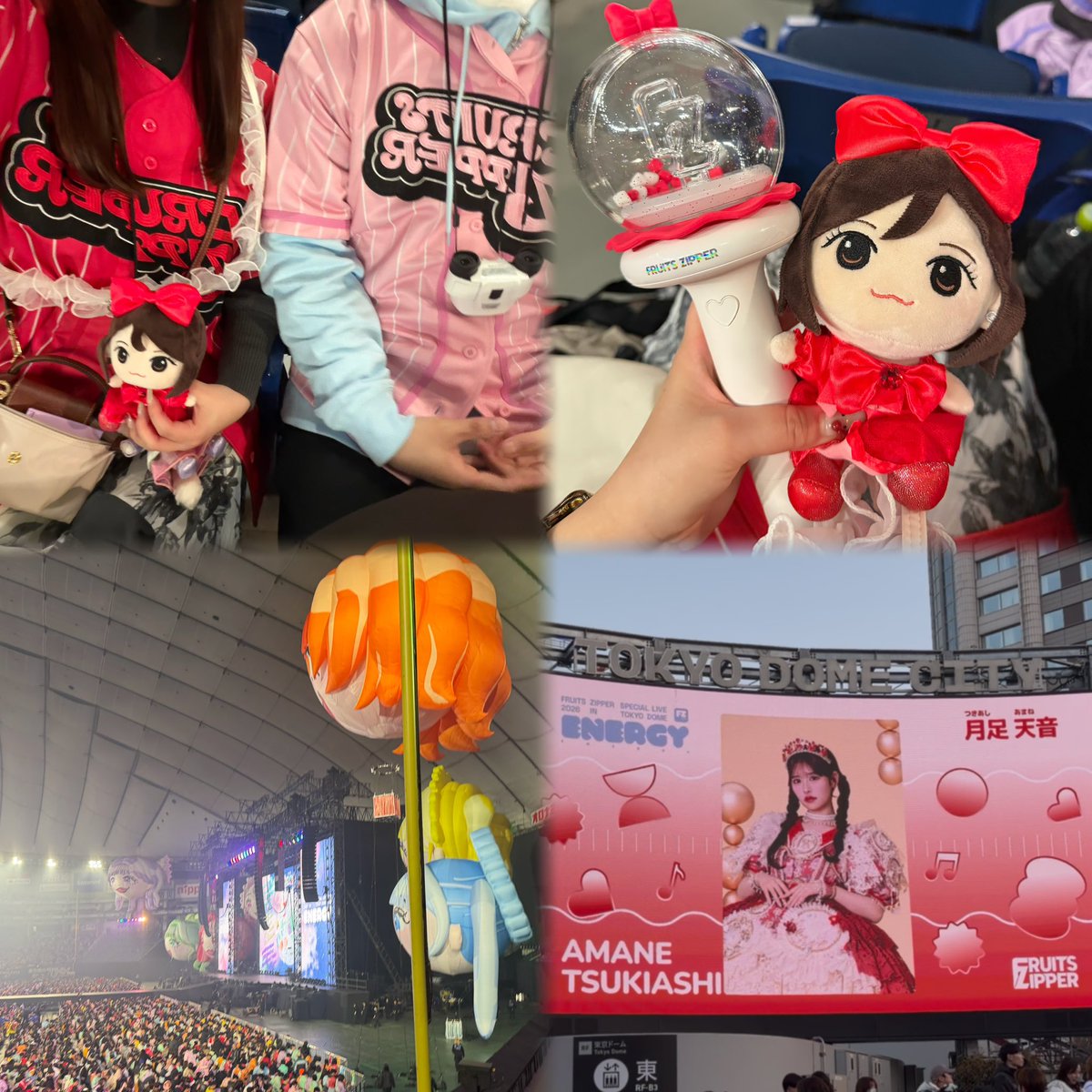 totakeke_2's tweet photo. 2/1 FRUITS ZIPPER SPECIAL LIVE 2026 「ENERGY」

アイドル以上のアイドルだった🥵💘
#ふるっぱーと東京ドーム https://t.co/mKfQEK7tvh