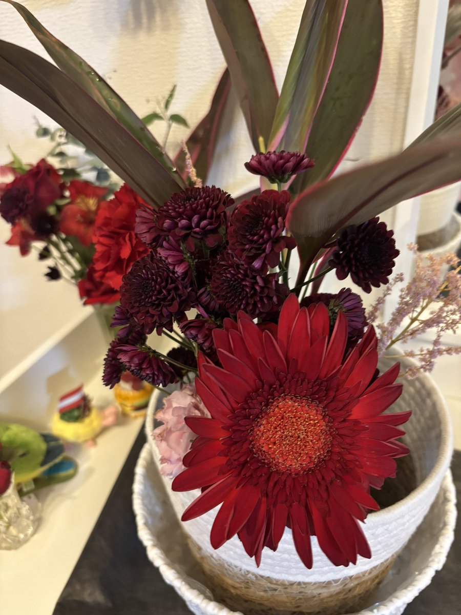 皆様からいただいたお花まだまだ元気！！