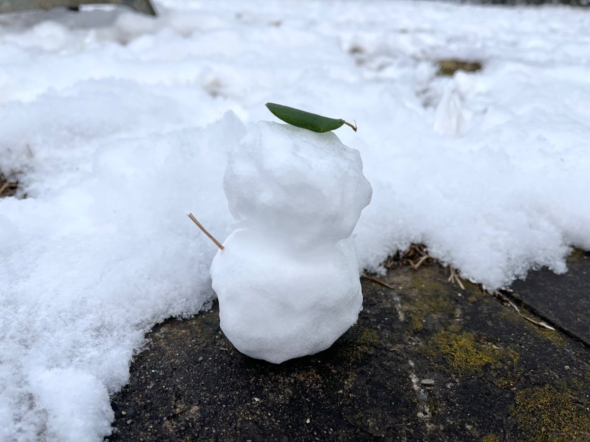 今日は子どもたち連れて投票→雪遊びしてきた
雪積もっててテンションあがったけど寒い！
これが日常な雪国って大変だ
