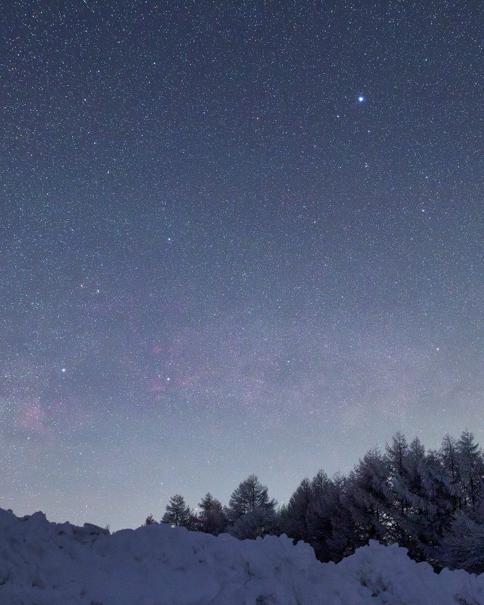雪の上に姿を現したはくちょう座