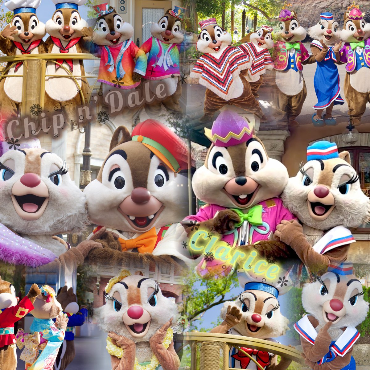 めめ🎽 tweet media