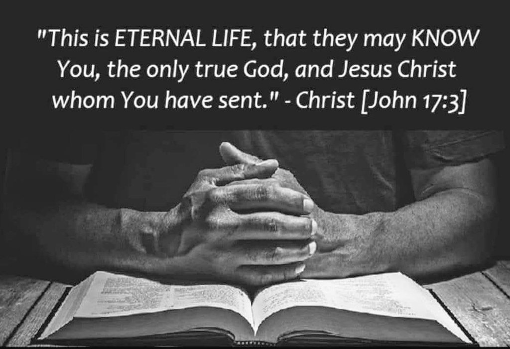 DocStowers's tweet image. 