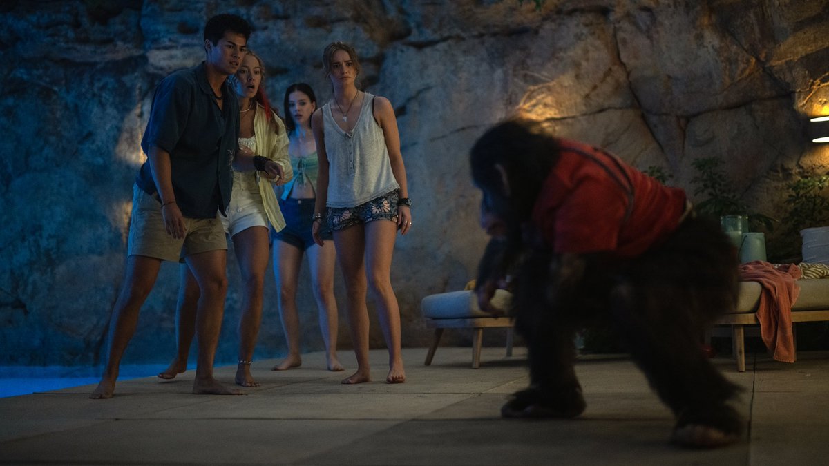 #Primate — หนัง Animal Attack ที่พล็อตเรียบง่ายแต่ได้ผล เรื่องราวของชิมแปนซีแสนรู้ที่ติดเชื้อจนกลายเป็นเครื่องจักรสังหารในบ้านปิดตาย งานชุดลิงของ Miguel Torres Umba คือ MVP เรียลและหลอนจริง ฉากดิบเถื่อนเลือดสาดสะใจ แม้ตัวละครจะหาเรื่องใส่ตัวตามสูตร แต่ความกดดันเอาอยู่ #movietwit