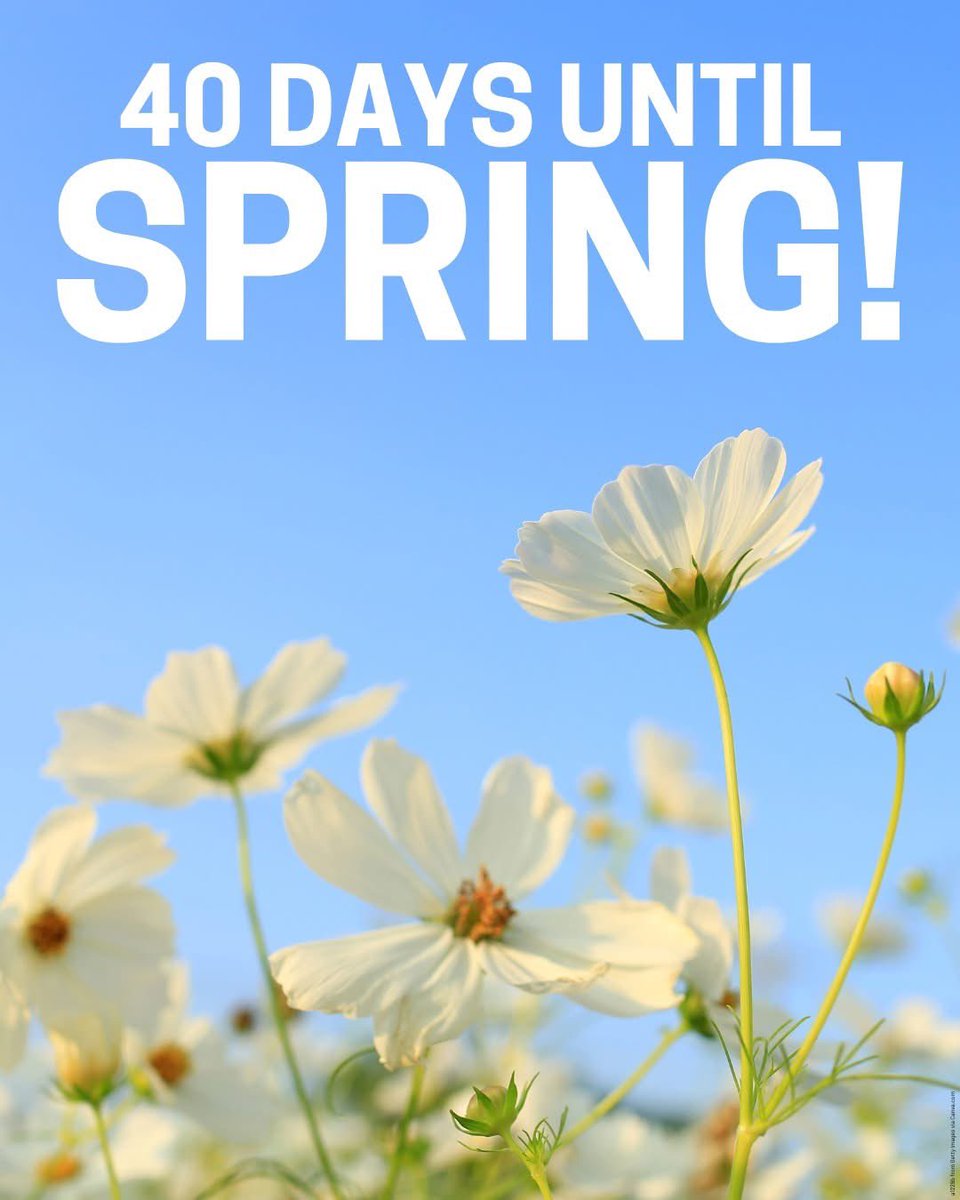 Yes 🙌 😎🌻☀️🌷