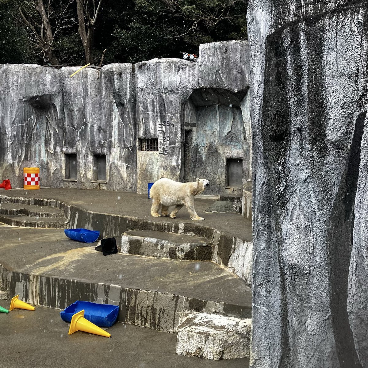 ゆかたん (@yu_ka7493) / Posts / X