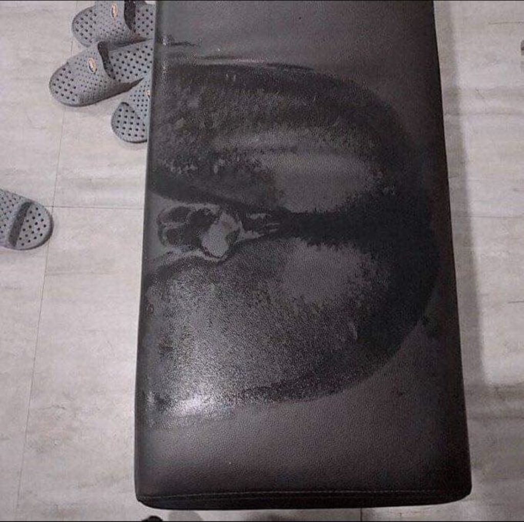 ChrisExcel tweet media