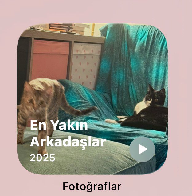 Benim son zamanlardaki arkadaş çevresi: