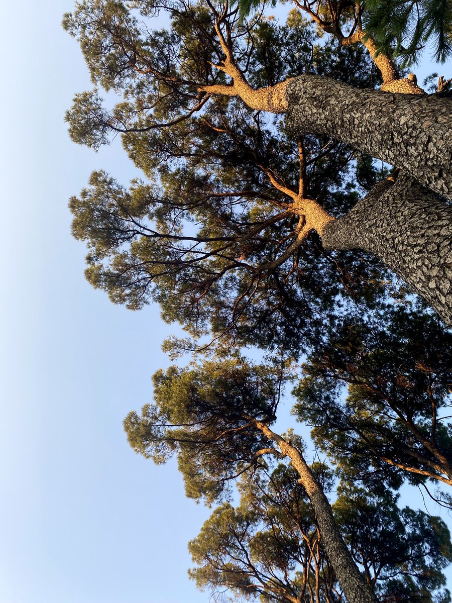 Yukarı bakmayı hatırladığım bir an.