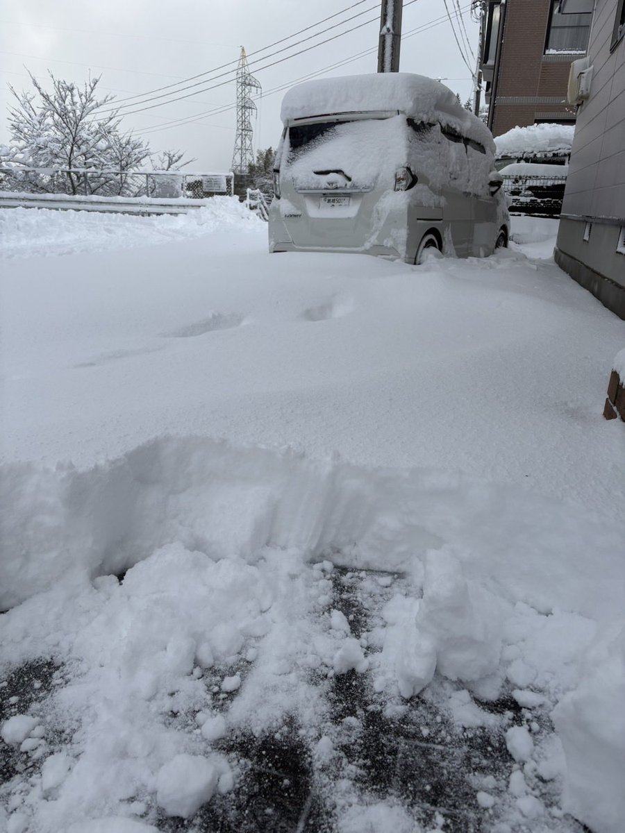 ayu06mi's tweet photo. どえりゃー積もりましたよ
私はこんな時にお出掛けしてます。
無事にお家に帰れるのか https://t.co/H8ibyGuuwd