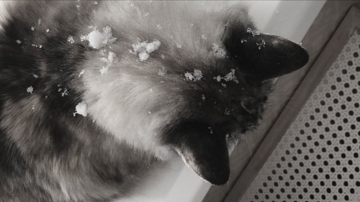 mise ͙͘͡★ tweet media