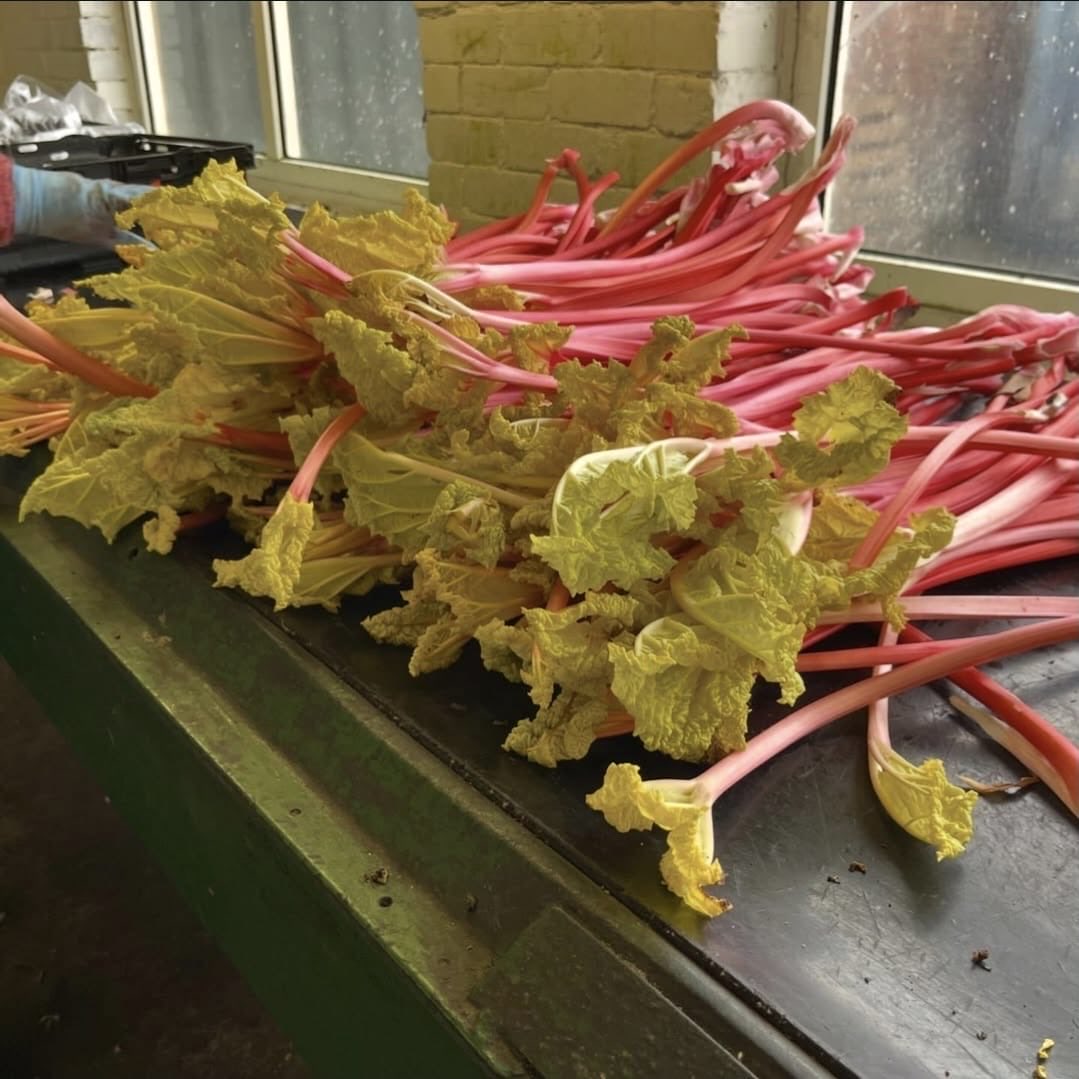 First Choice Produce tweet media