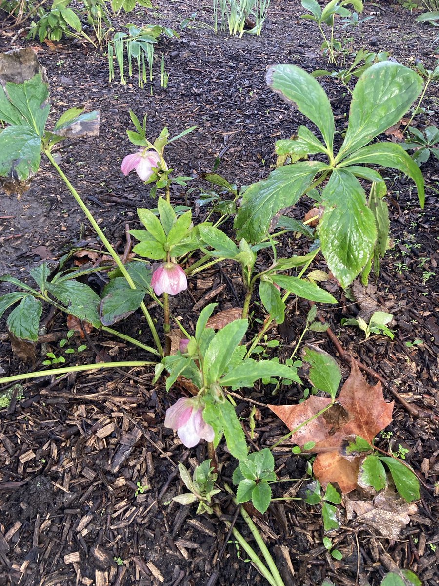 Waterlow Park tweet media