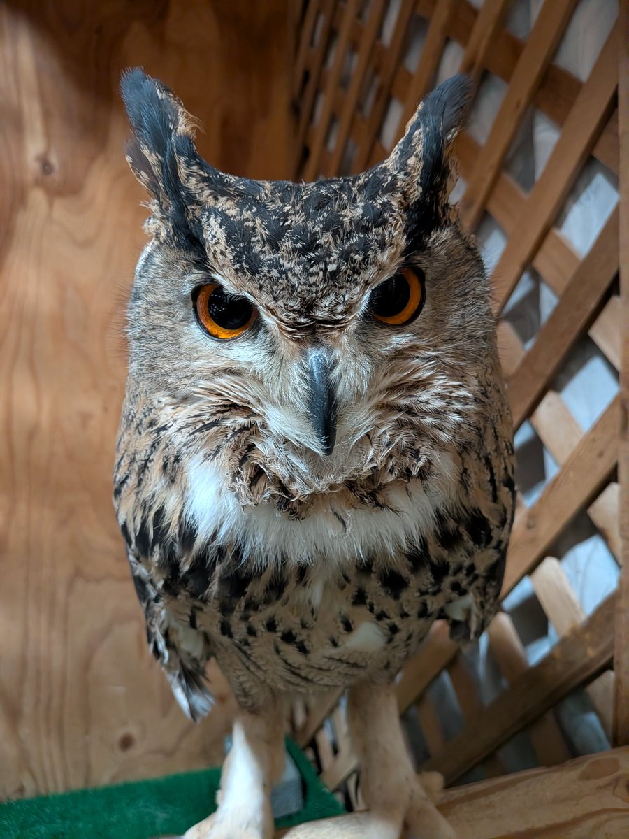 ただいま〜。ご飯持ってくるから、もう少し待っててね