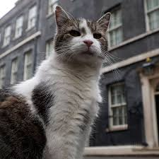 Larry the Cat has now seen off 5 Prime Ministers do you think he will see off 5 more? Larry the Cat has lived at 10 Downing Street for over 15 years. He arrived on February 15, 2011, making him the longest-serving feline resident in the history of the position. #number10cat