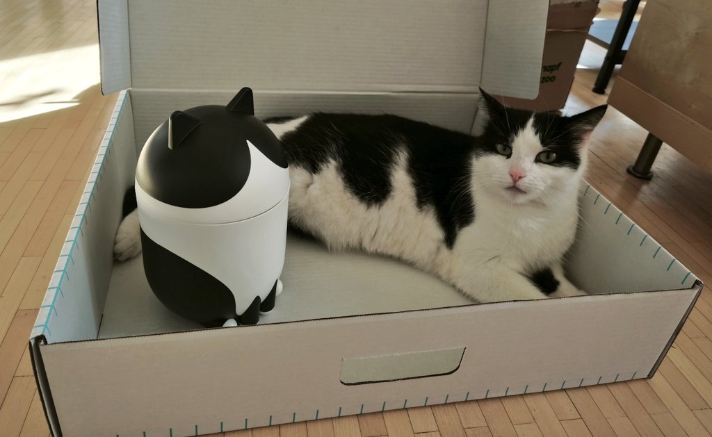 Zunda7's tweet photo. IKEAの猫の小物入れ買っちゃった⋯
ハチワレ具合が似てる☺️ https://t.co/UJVikMijUD
