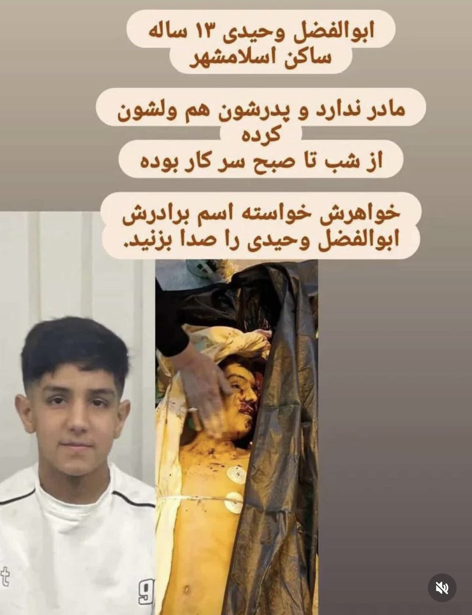 شَکول tweet media