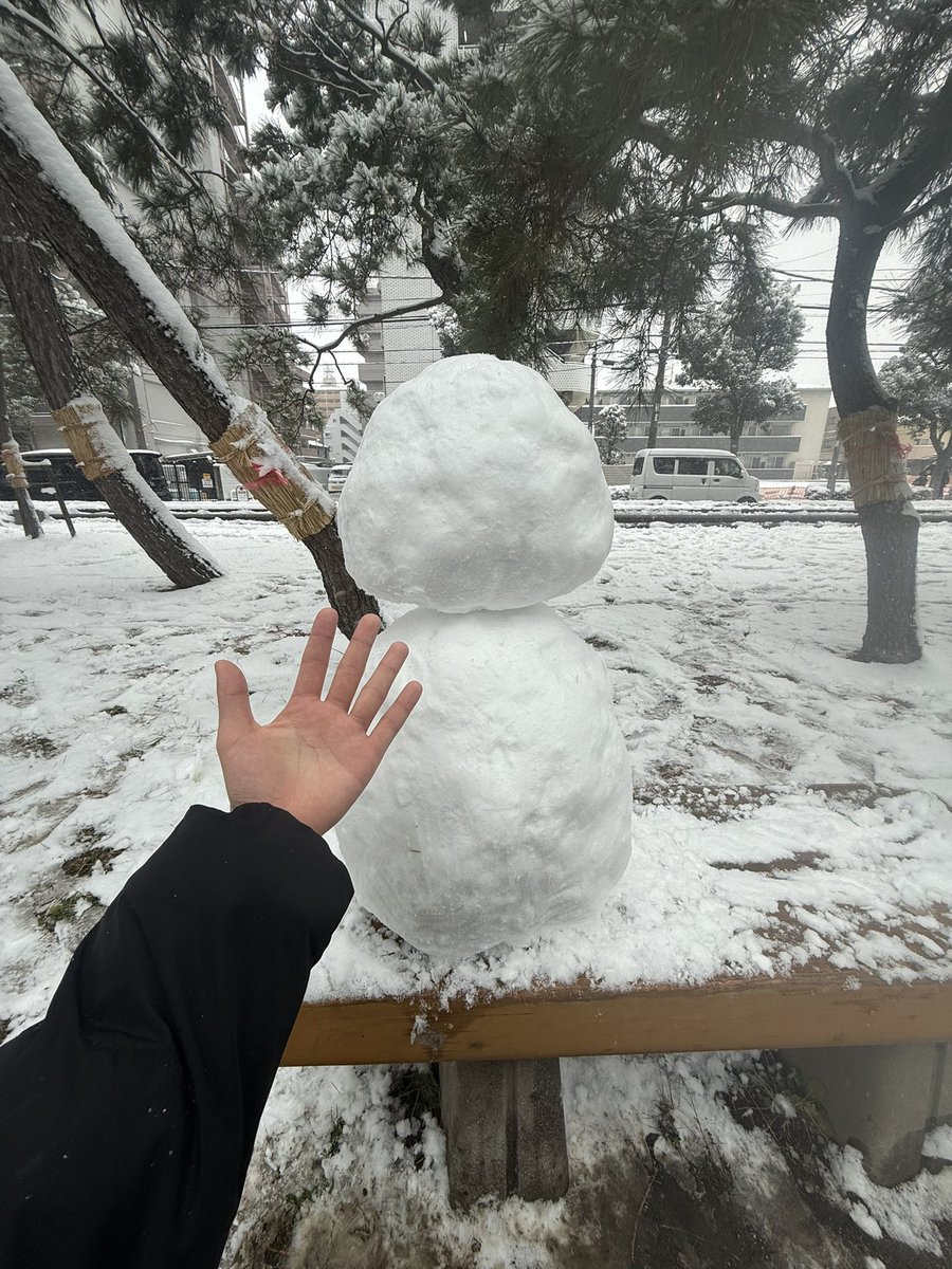 ウォルターズ tweet media