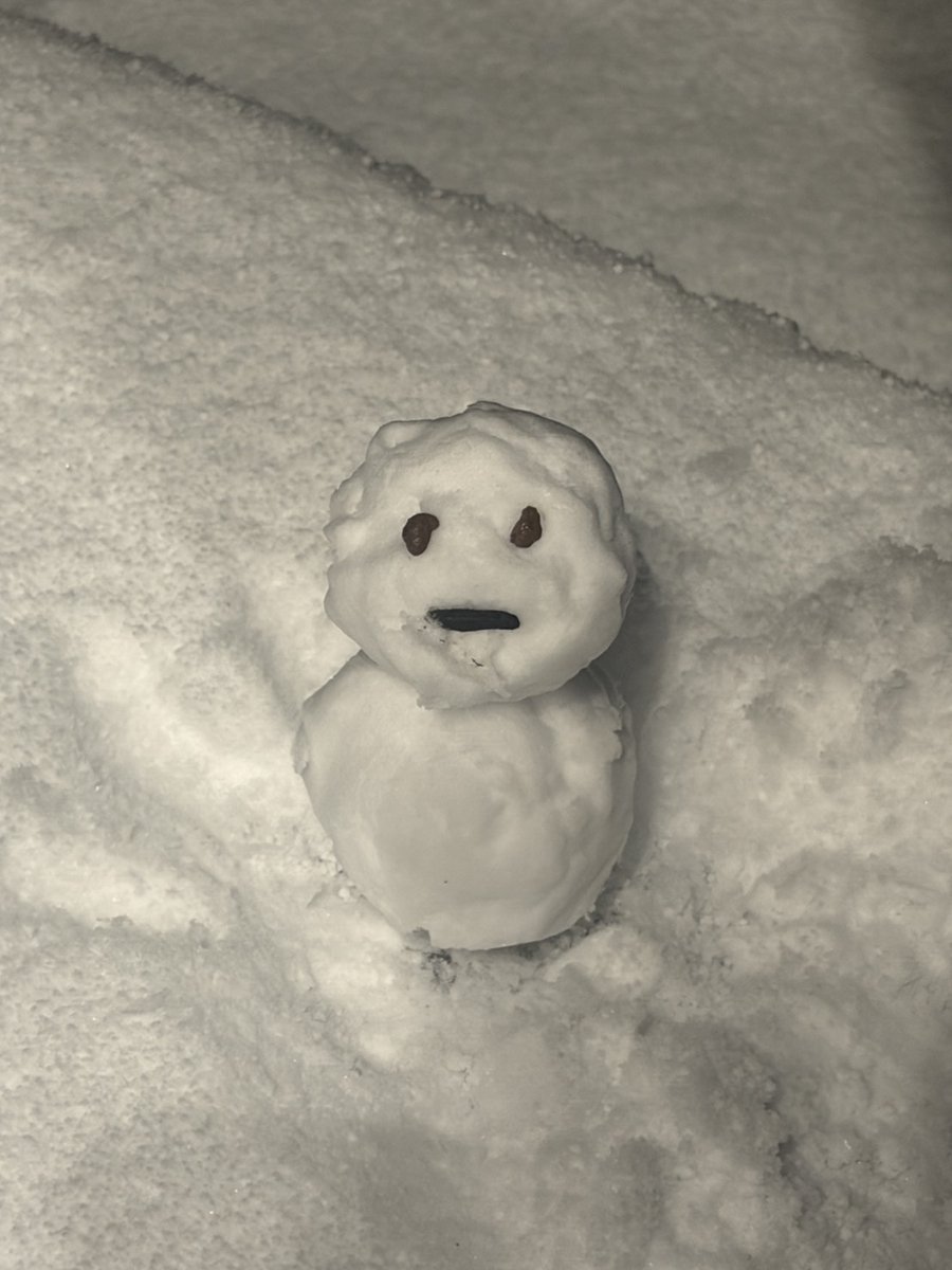 Ryu1072602's tweet photo. 本日の練習も雪にてリモート
めっちゃパウダースノーです❄️ https://t.co/M8MwKzCG5k