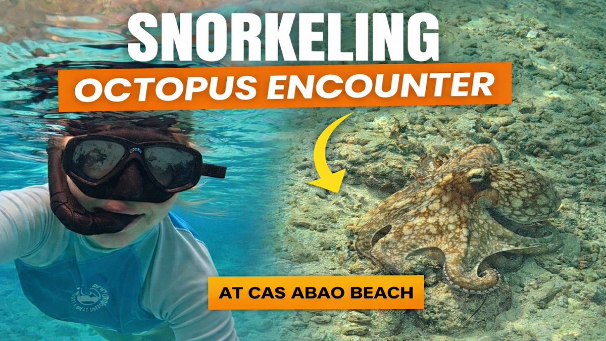 Tam & Lauren tweet media