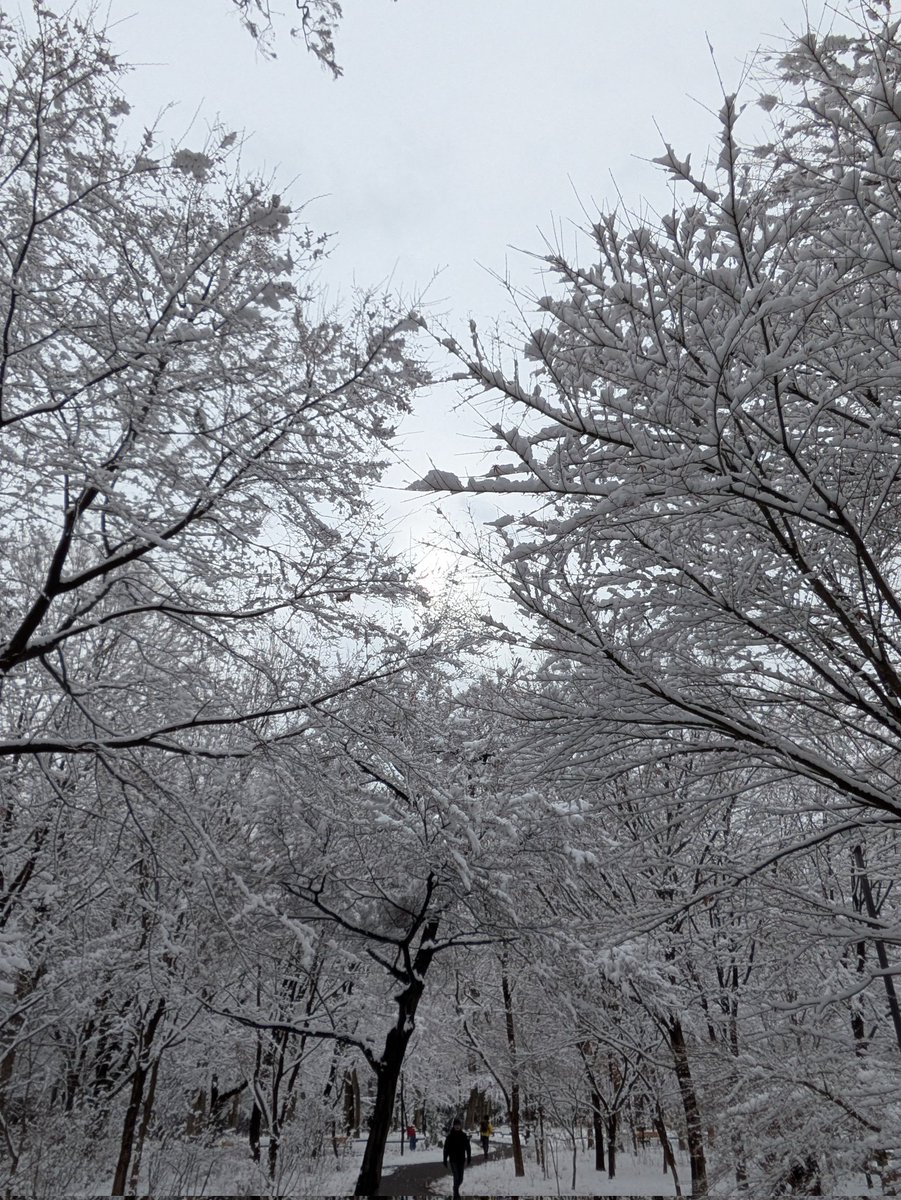 最近はこの辺に出没しています。