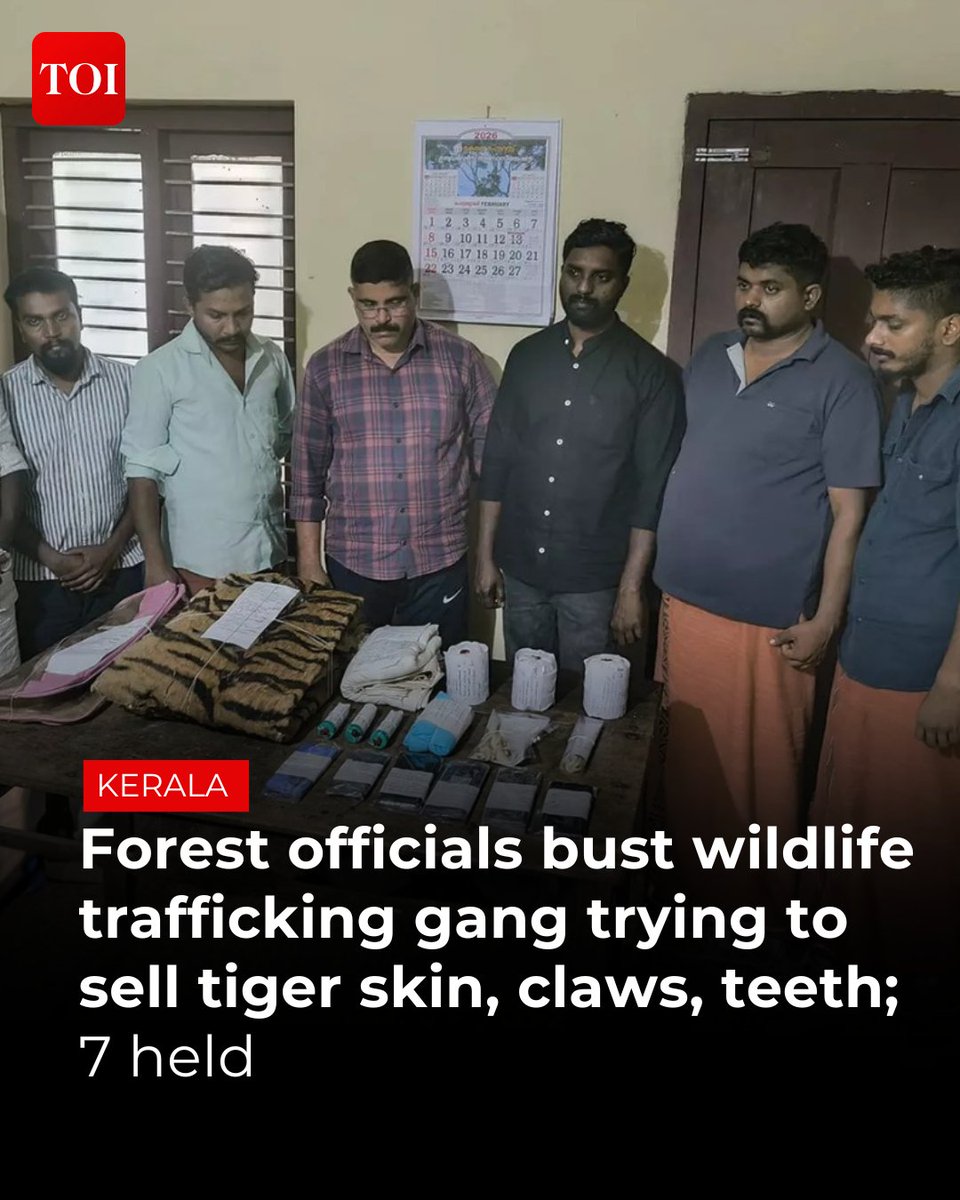 The Times Of India tweet media