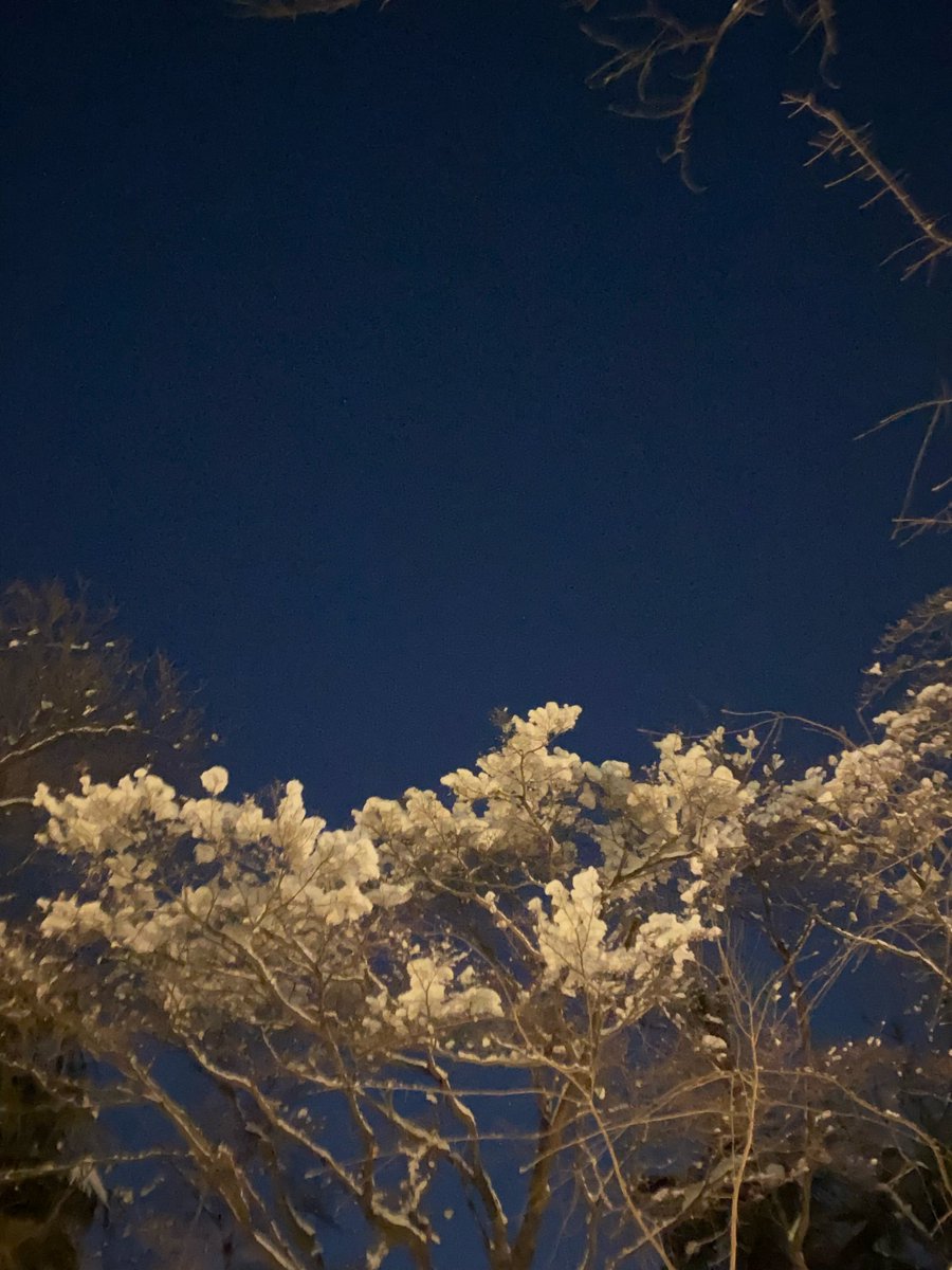 クリエーション1日目終了➰⛄️
身体という世界を思いながらFSXホールから国立駅まで歩く 雪国で生まれ育ったのでなんとも嬉しい 夜が白くなって少し明るくなるのが懐かしい
