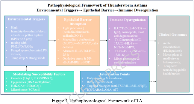 Interasma's tweet image. Triggering mechanisms of acute #thunderstorm #asthma: #epithelial #barrier #disruption and #immune #dysregulation. Open Access. interasma.org/2026/02/08/tri…