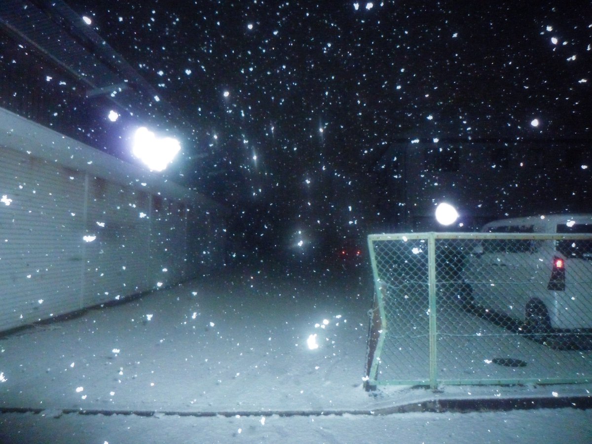 nagi𓅫⸒⸒ tweet media