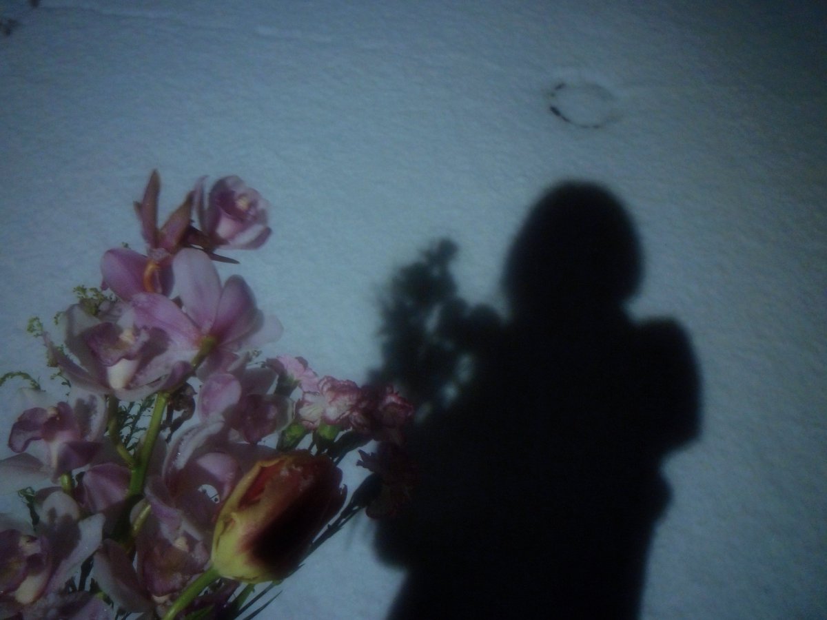 nagi𓅫⸒⸒ tweet media