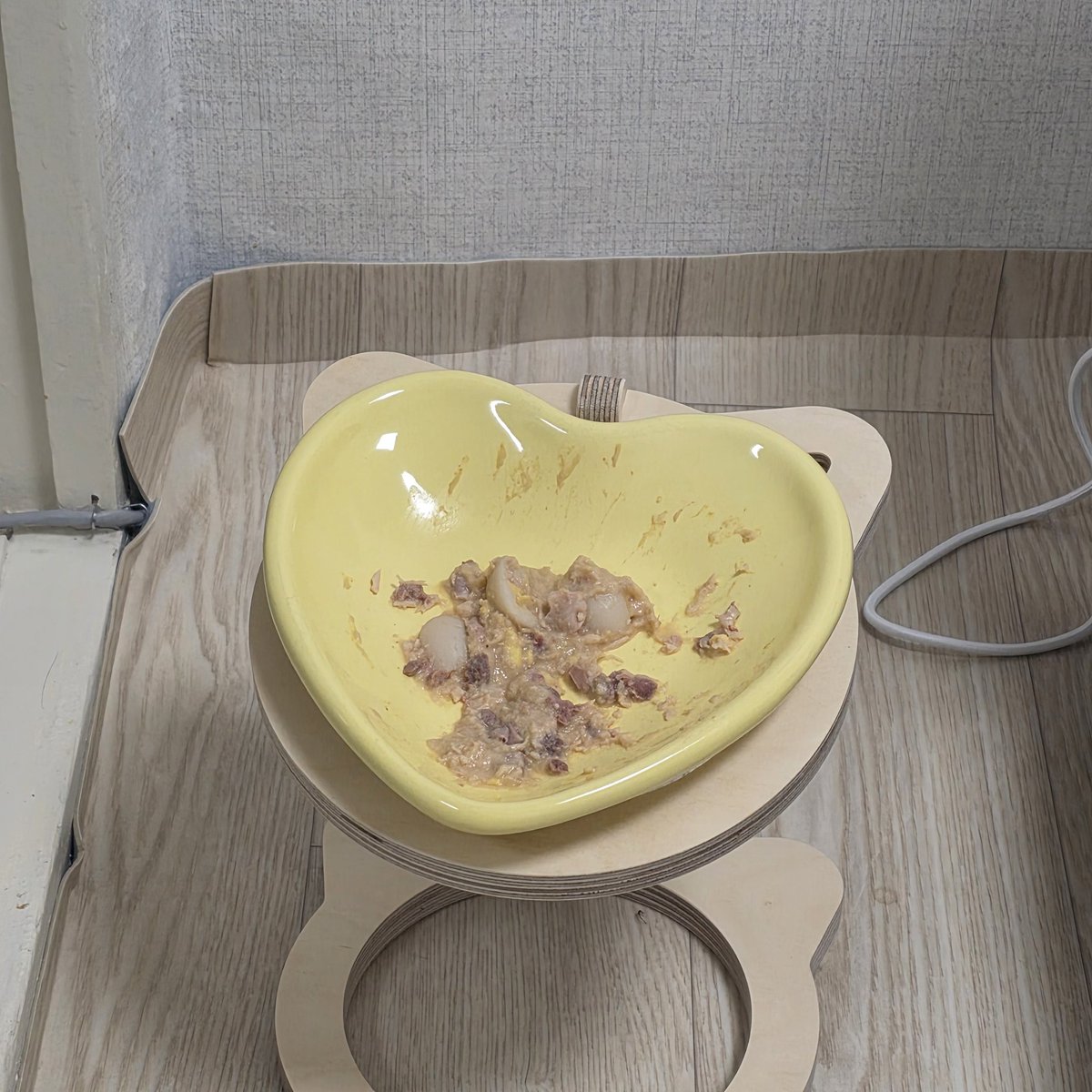 처음 급여하는 습식 메추리알 들어간대서 갈려있을 줄 알았는데 진짜 통으로 들어있어서 너무 신기해서 신나게 줬는데 메추리알빼고 다먹음