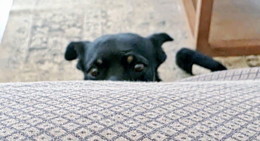 Pssst. Good morning 👀