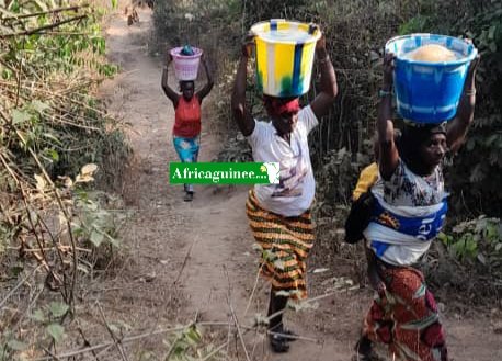 🚨🇬🇳« Verser son eau est la pire des punitions »: Le calvaire des femmes à Porto Fita face au manque d’eau potable ⤵️

is.gd/Vk7T7X