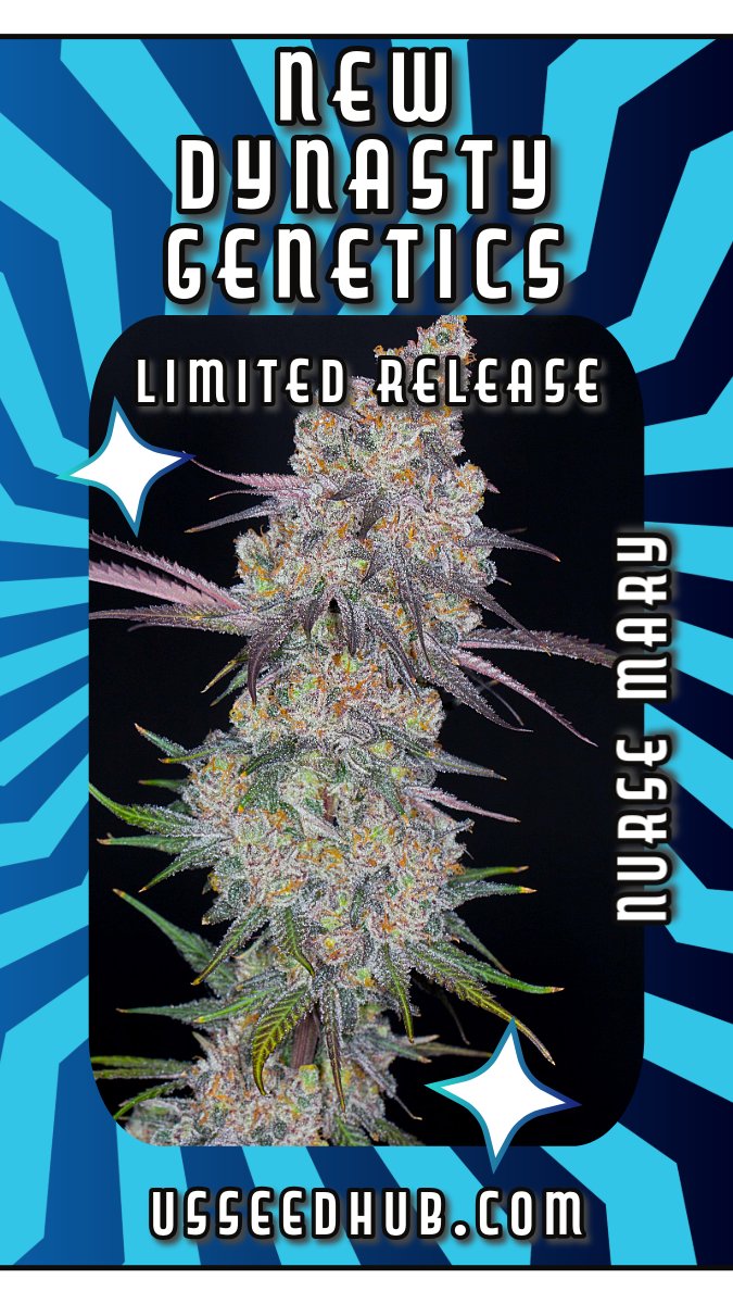 US SEED HUB tweet media