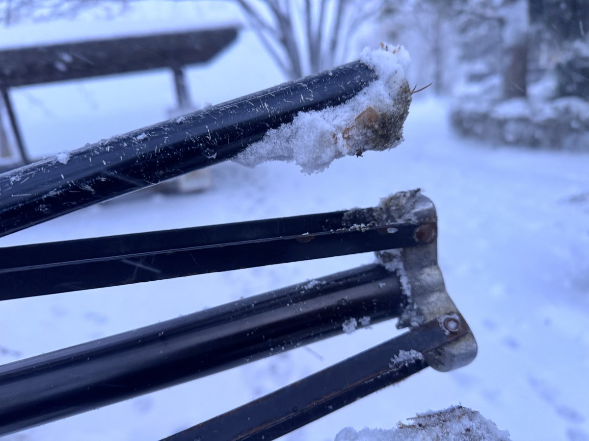 ilkoallexandrof's tweet image. わぁ〜今日の雪❄️やばかったな❗️ライトスタンドとか三脚とか凍ってるわ❗️関西でもこんな雪で撮影できるんだ🐱

でも、長野や東北と比べたら、ちょっとマイナスでもなんか暖かく感じるね！(お前だけやろ)

イェーイ❗️