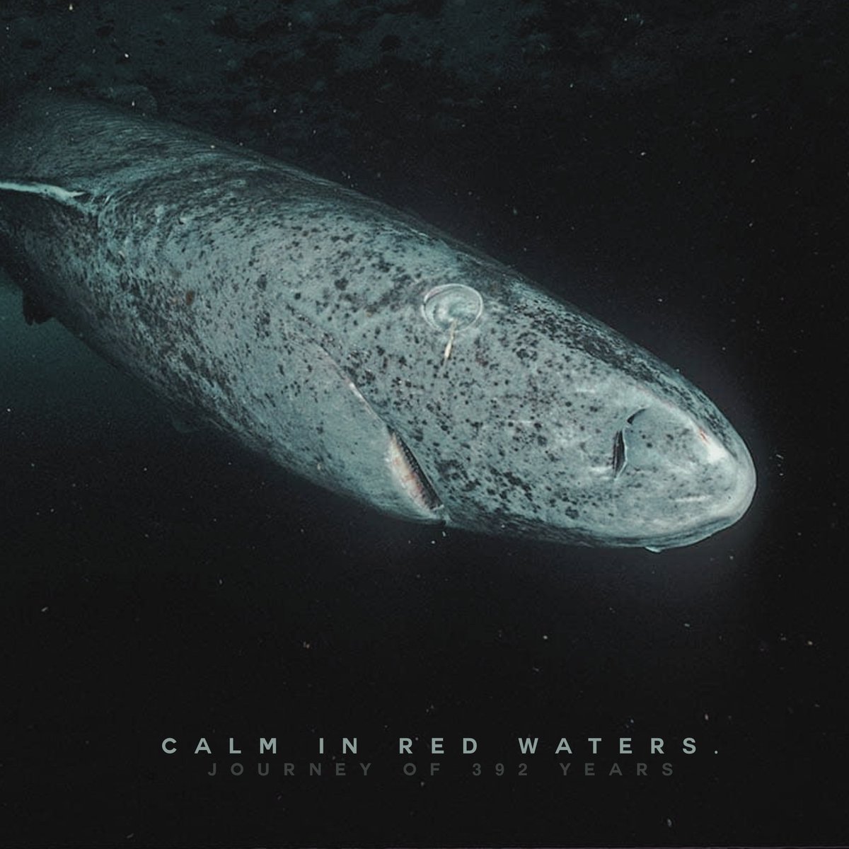 The way forward wasn’t clear, and the weight didn’t lift. I kept moving anyway, trusting that motion itself was enough to carry me through.