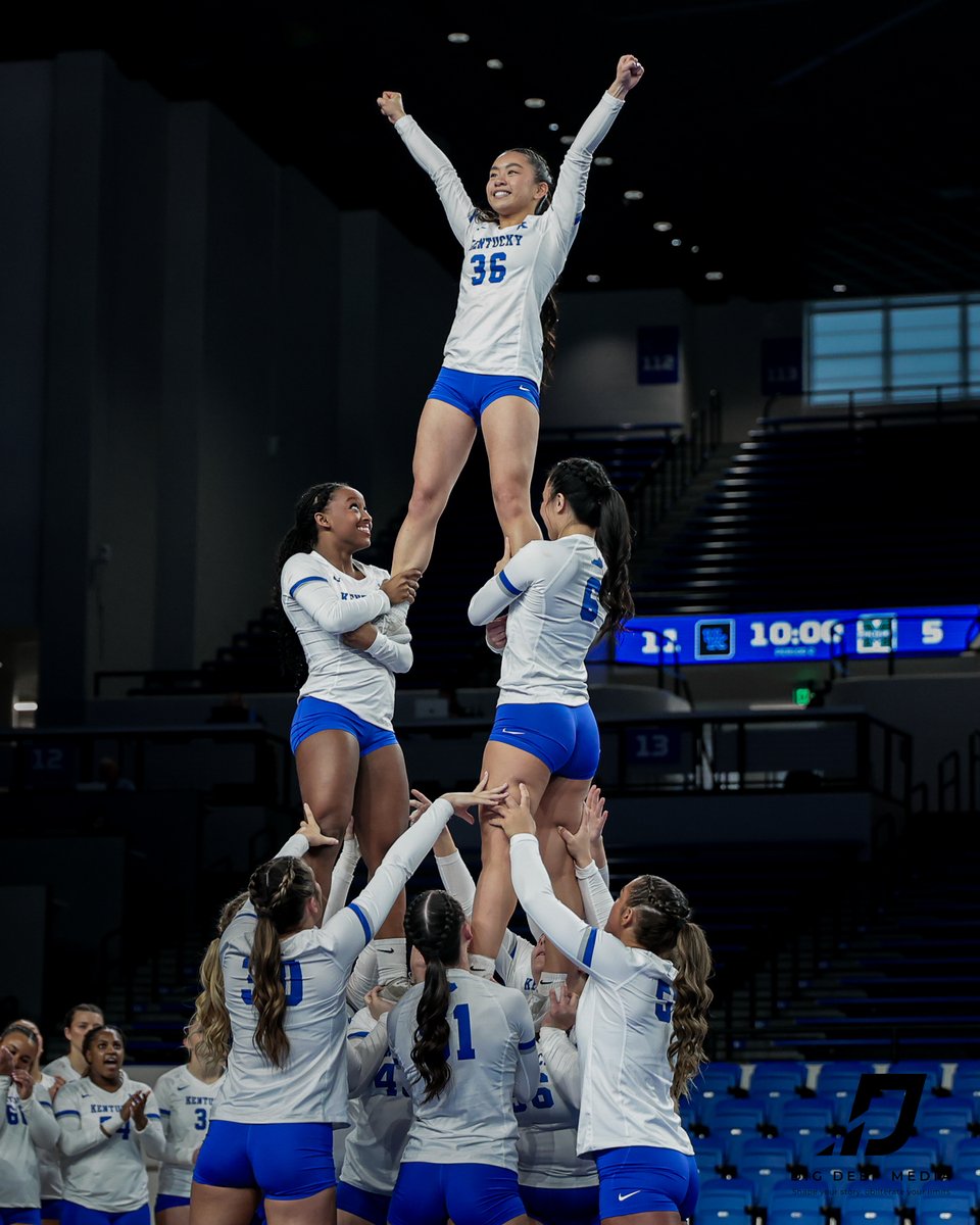 DigDeepMedia tweet media