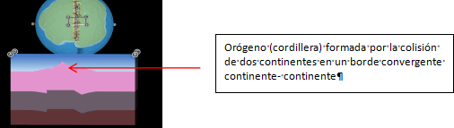 Proyecto Simbiosis🧬🌎👨🏫👩🏫 tweet media