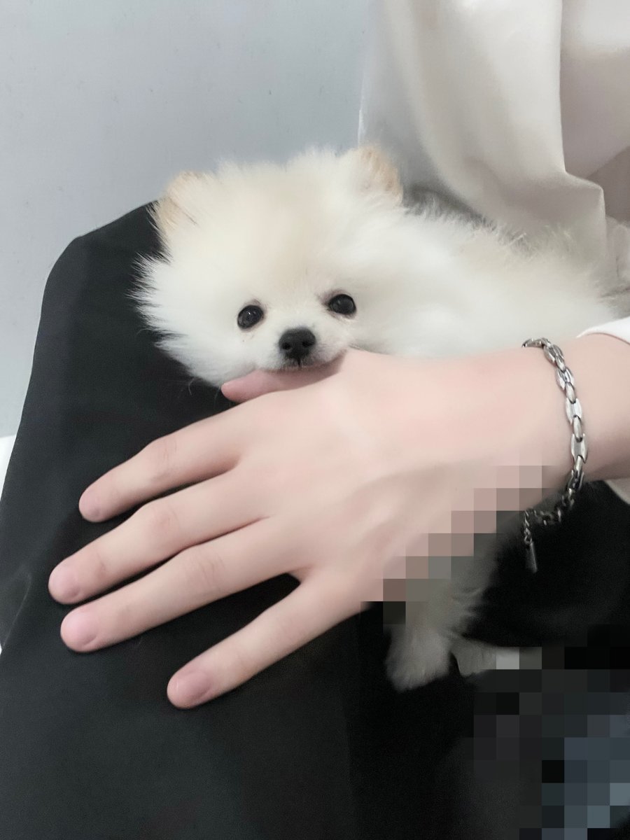 うえ (@u3nc_) / Posts / X