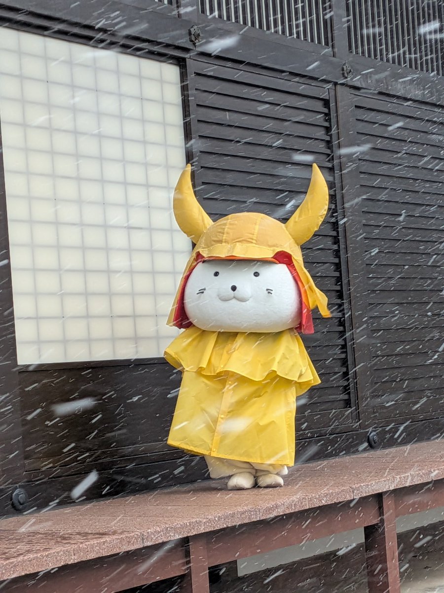 あきにゃん🦢🎵歌とハープが好き🦢🎵第九のソロを歌いたい