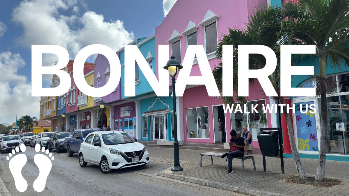 OurAdventures2's tweet image. ⏰📷 NEW VIDEO NOW LIVE 📷⏰
youtu.be/SYXCpnq7tiw

@marellacruiseuk | @BonaireIsland
#Bonaire
#WalkWithUs