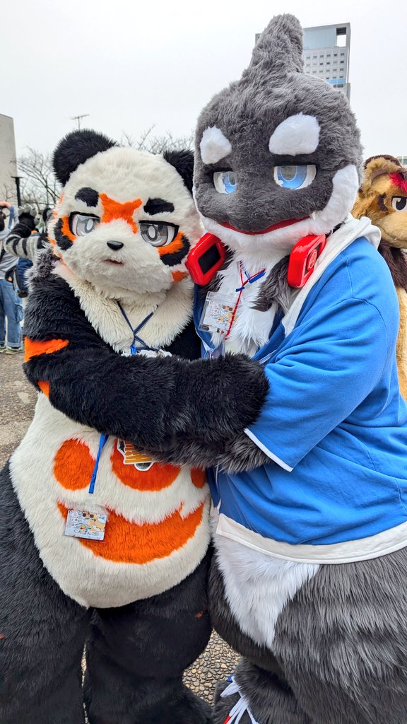 墨丸くん丸っこくて可愛いね🐼📸 #ゆるもふ2