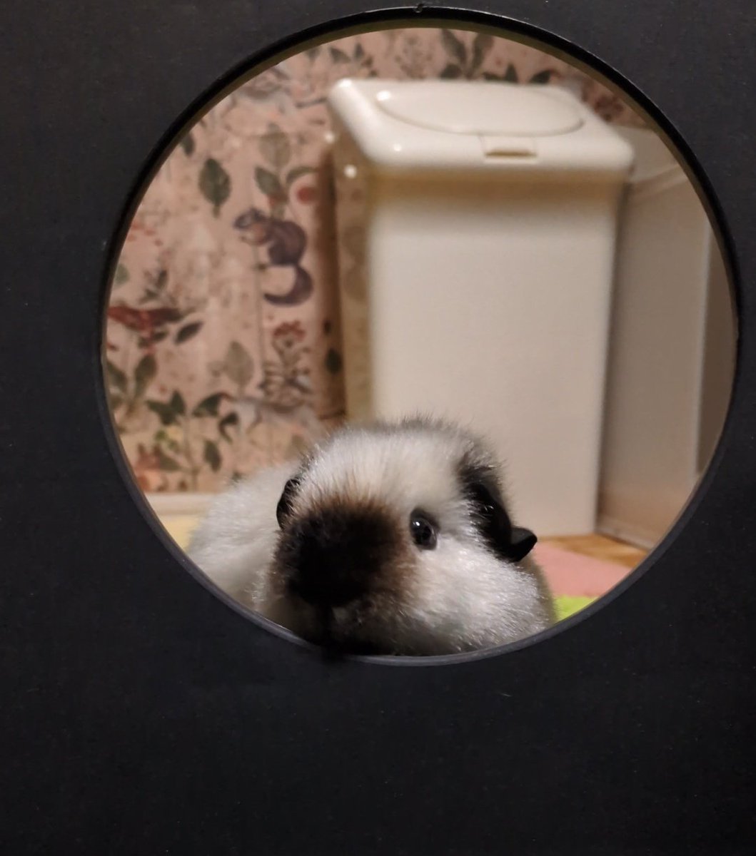 ann(ﾓﾙﾓﾙ) tweet media