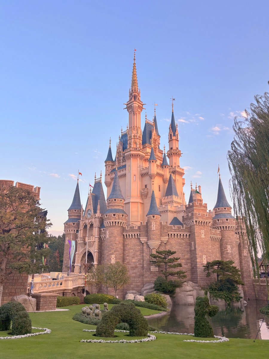 빈티지 디카로 기록한 11월 17일 ~ 1월 21일의 도쿄일상 (제곧내) 📸🩷 
사진 오백 장 구경하러 오실분 .. 

m.blog.naver.com/cakeroom_/2241…